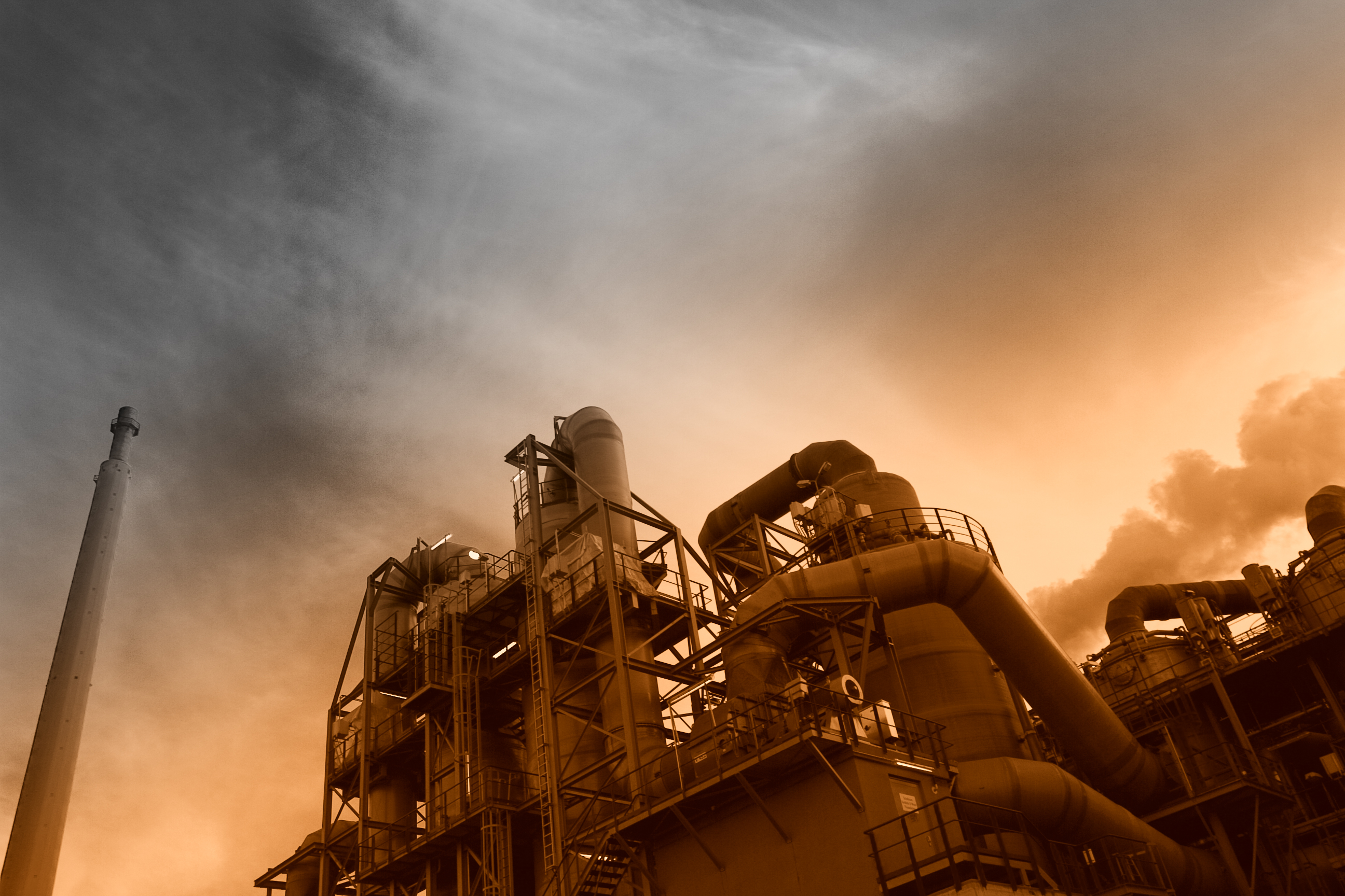 IMG 84nnnnnnnnnnnn06