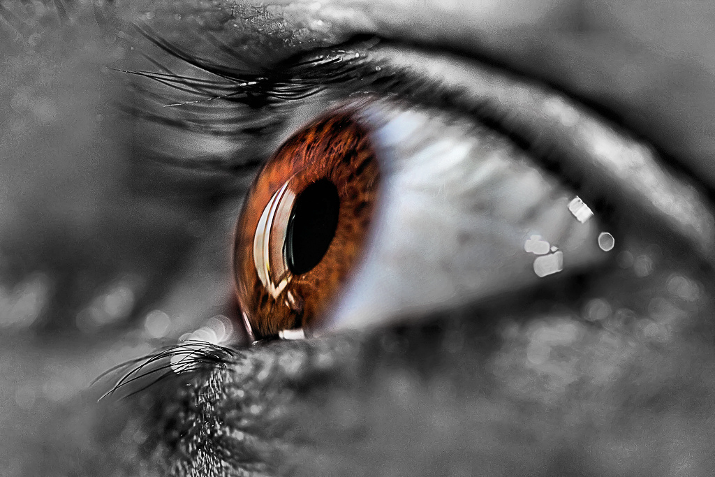 3777710072 9ac0ac76c7 b